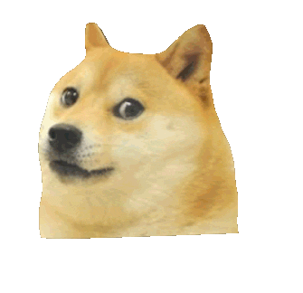 Picture of a doge